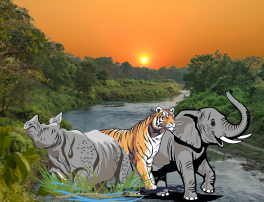Destination Experience Tours